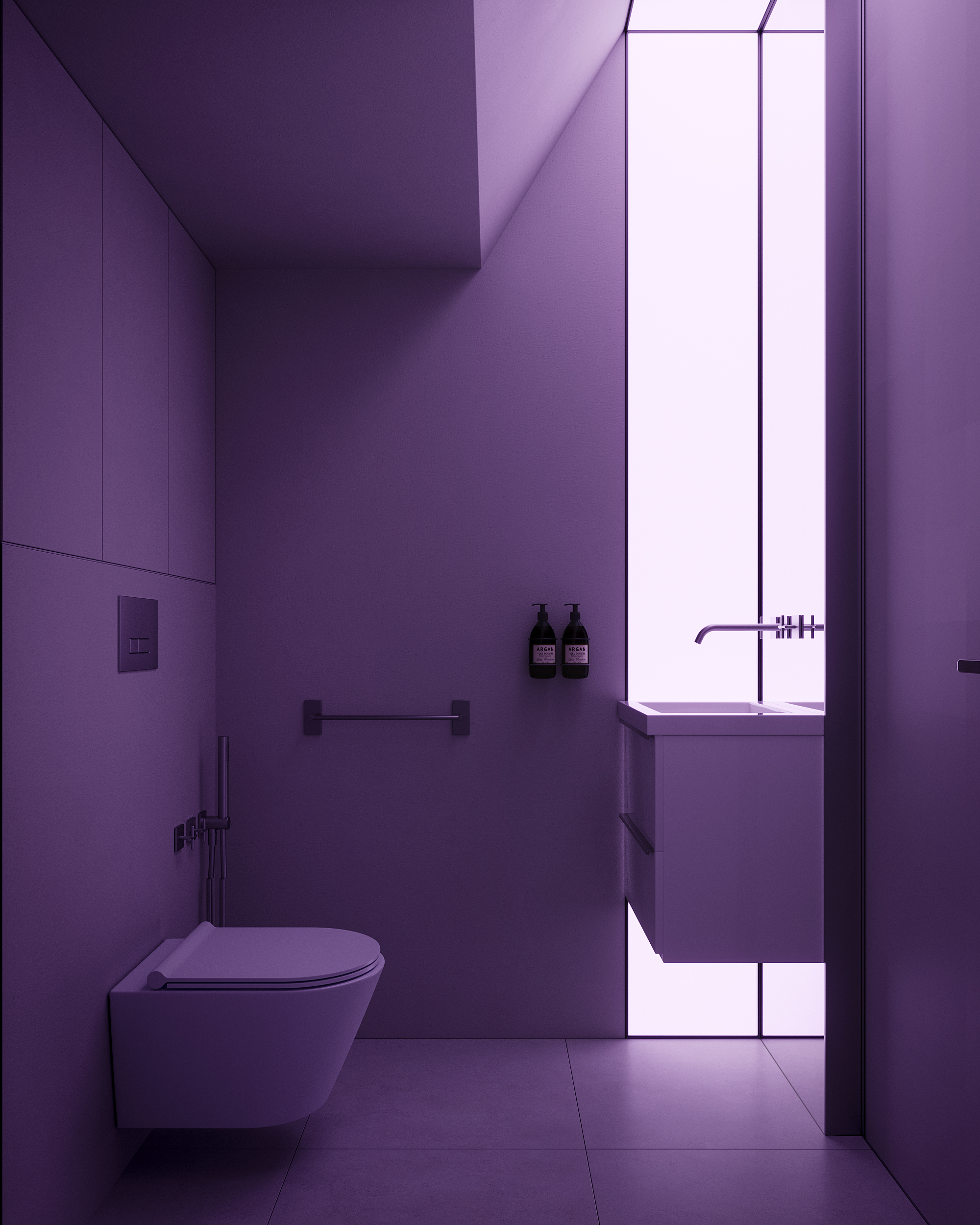 toilet_001_1 (2)