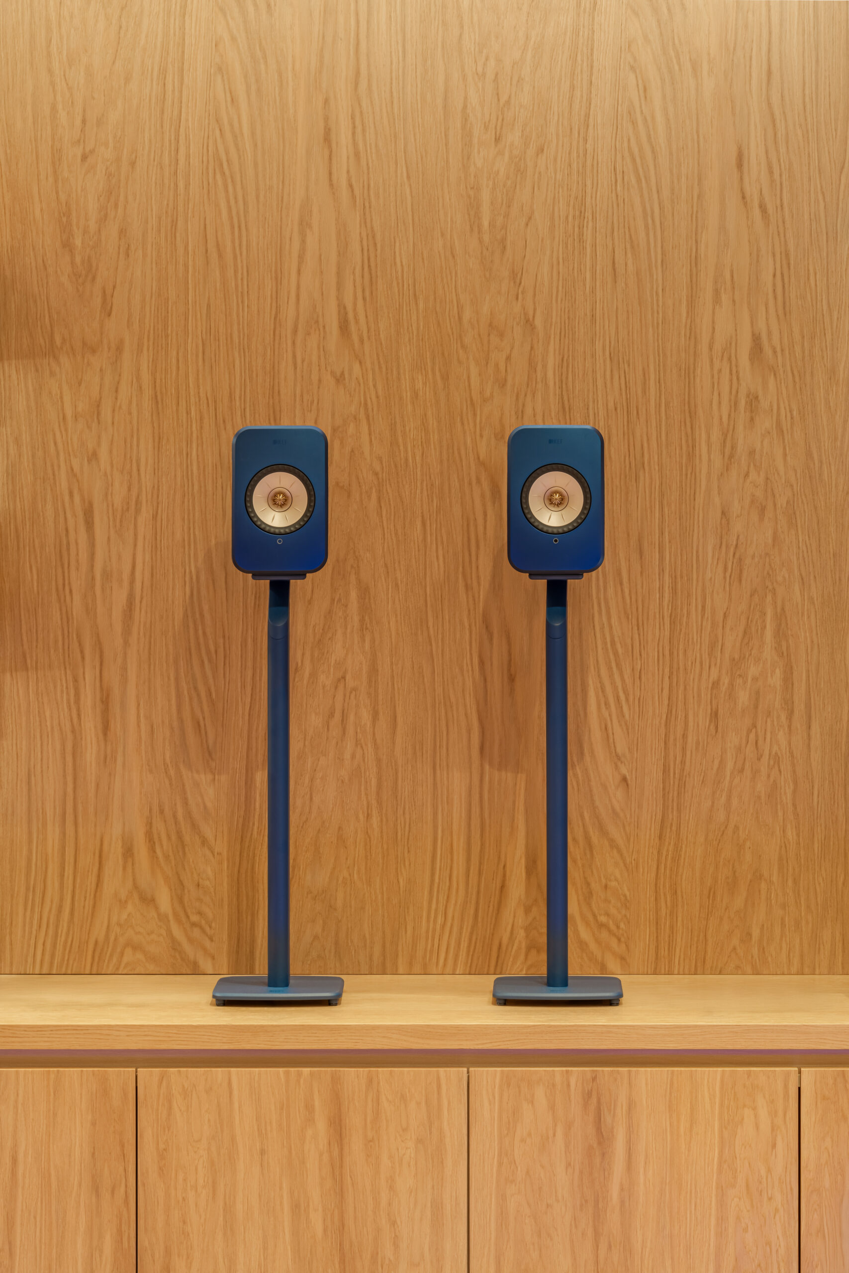 VINYL-16