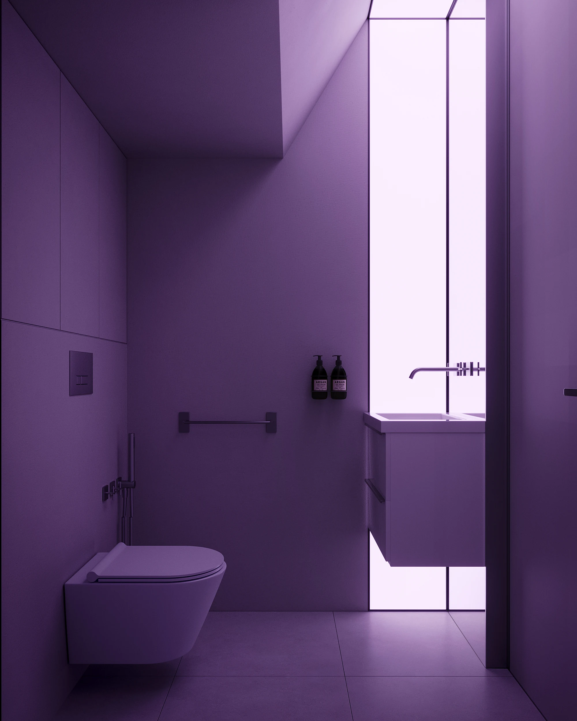toilet_001_1 (2)