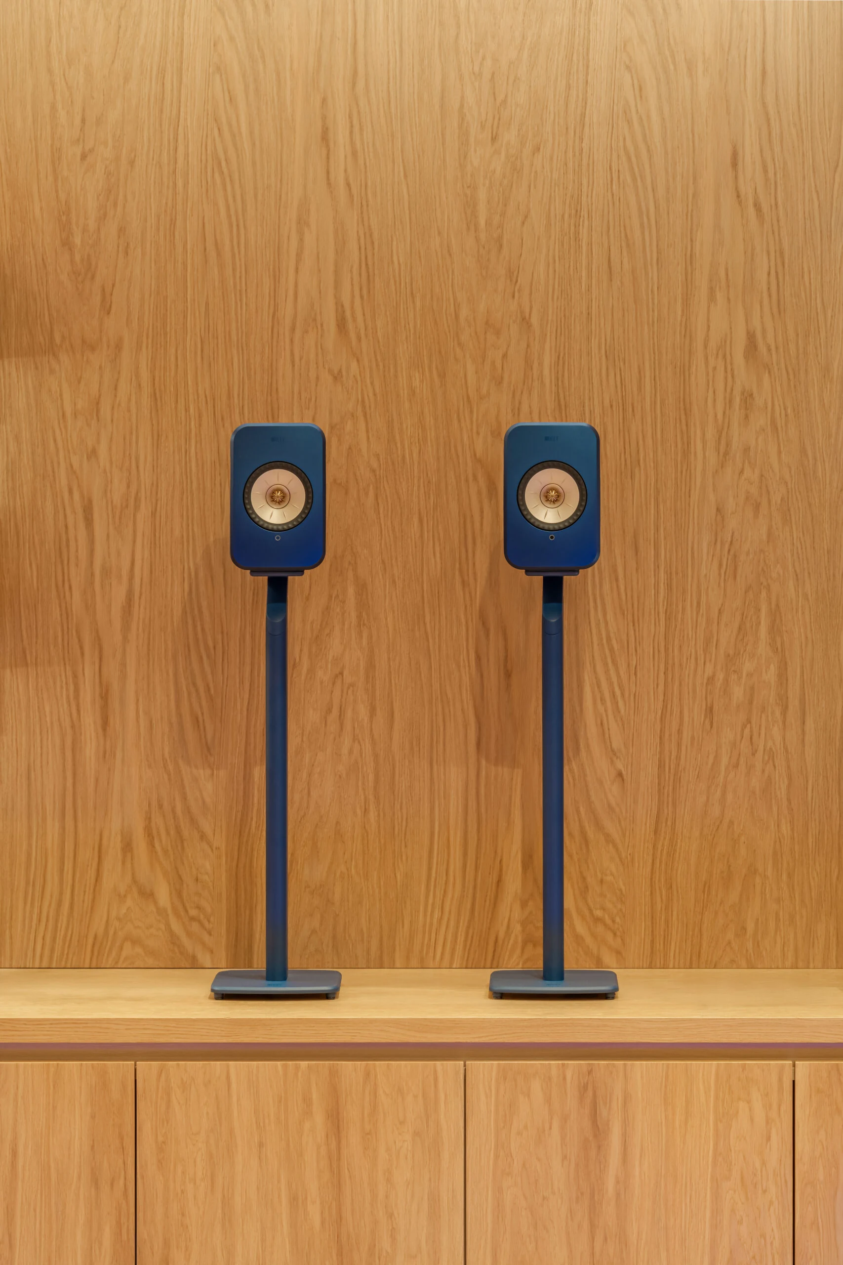 VINYL-16